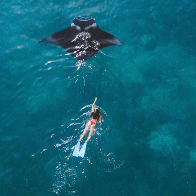 From Nusa Penida: Snorkeling Tour to 4 Spots With Manta Ray - Customer Reviews