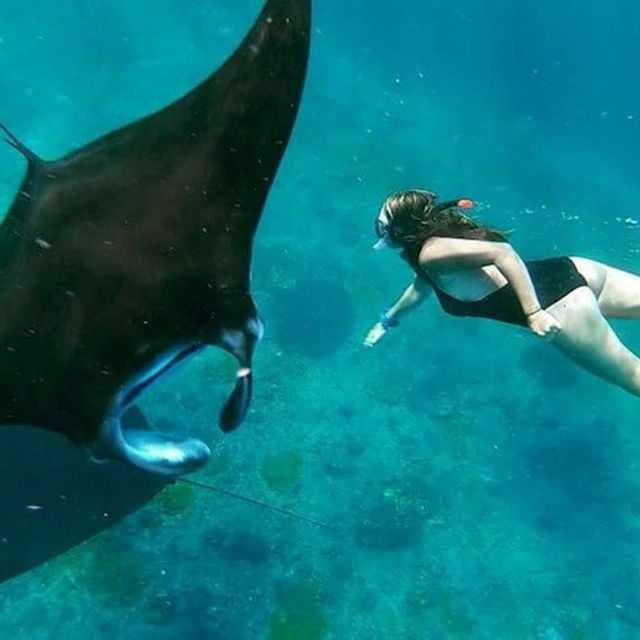 From Nusa Penida: Snorkeling Tour to 4 Spots With Manta Ray - Common Questions