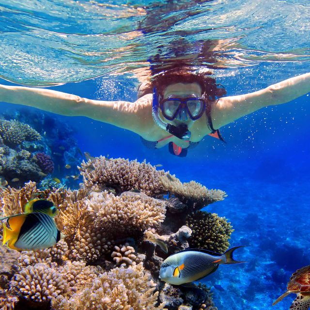From Nusa Penida: Snorkeling With Manta Rays - Activity Details and Flexibility