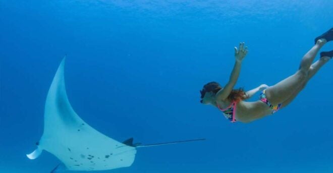 From Nusa Penida: Snorkeling With Manta Rays - Customer Reviews and Ratings