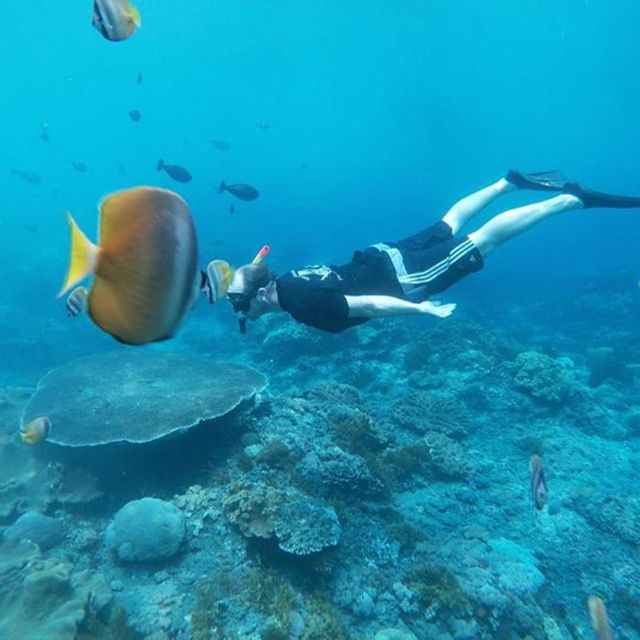 From Nusa Penida: Snorkeling With Manta Rays - Additional Information