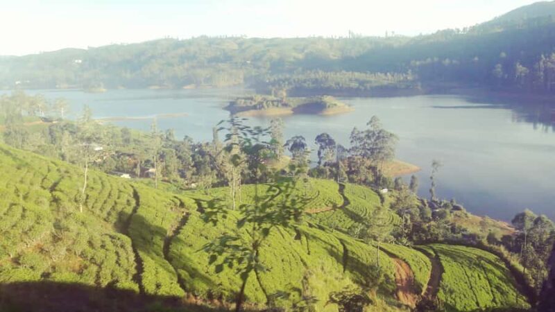 From Nuwara Eliya: Adam's Peak Climb & Ella Drop - Good To Know