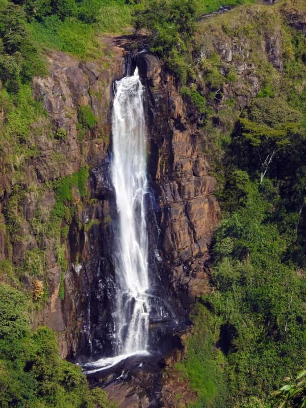 From Nuwara Eliya: Adam's Peak Climb & Ella Drop - Who Is This Tour Best For?