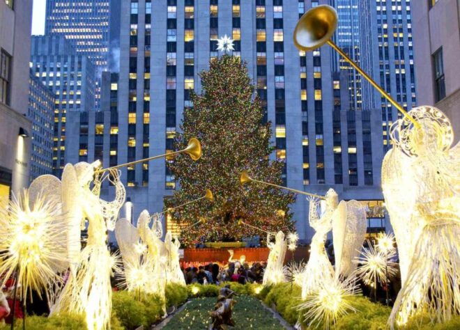 From NYC - Full Day Sightseeing Tour in New York City - Central Park, Times Square, and Statue of Liberty