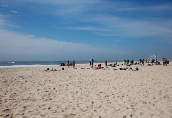 From NYC: Hamptons, Sag Harbor, and Outlet Shopping Day Trip - Helpful Tips