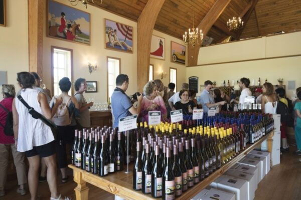 From NYC: Hamptons, Sag Harbor, and Outlet Shopping Day Trip - The Sum Up