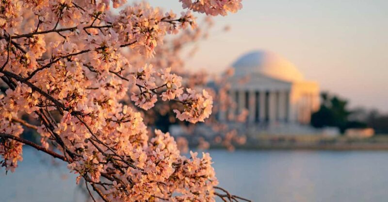 From NYC: Niagara Falls, Washington DC and Boston 4-Day Trip - Whats Included and How It Shapes Your Experience