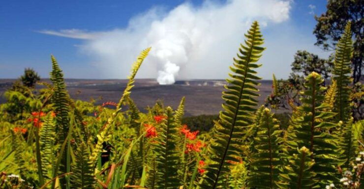 From Oahu: Big Island Volcano Adventure - Good To Know