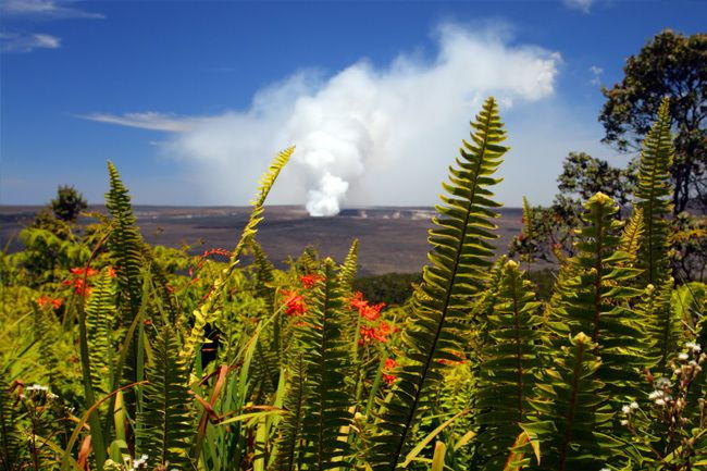 From Oahu: Big Island Volcano Helicopter Adventure - Inclusions