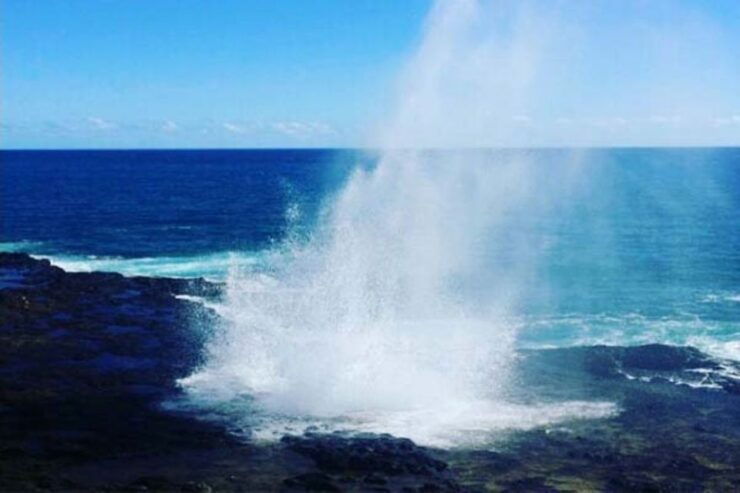 From Oahu: Kauai Helicopter and Ground Tour - Booking Information