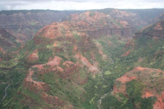 From Oahu: Kauai Helicopter and Ground Tour - Experience Highlights
