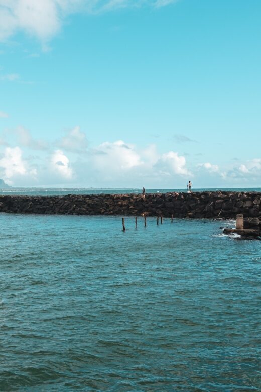 From Oahu: Kauai Highlights & Movie Sites - Good To Know