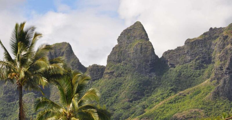 From Oahu: Kauai Highlights & Movie Sites - Who Is This Tour Best For?