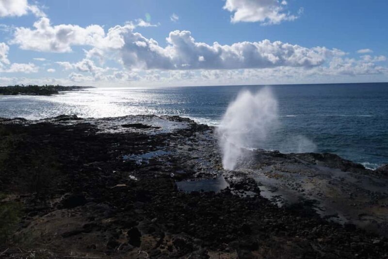 From Oahu: Kauai Waimea Canyon and Koke'e Adventure Tour - Good To Know