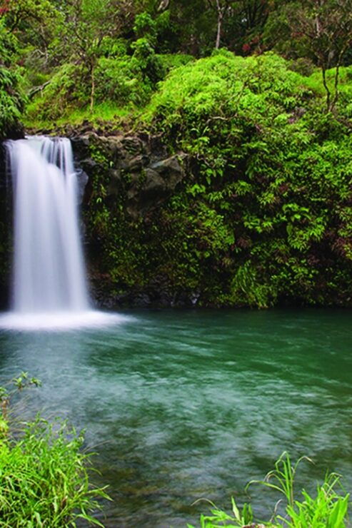 From Oahu: Maui Road to Hana Sightseeing Tour - Highlights of the Experience