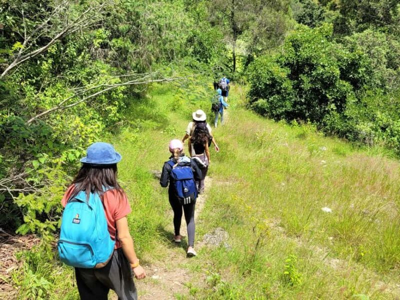 From Oaxaca: Apoala Magic Waterfalls Hike & Swim Adventure - An In-Depth Look at the Apoala Waterfalls Tour