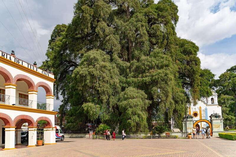 From Oaxaca: City, Mitla, and Mezcal Factory Tour - Exploring Oaxaca’s Main Attractions