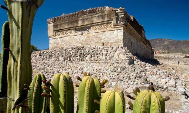 From Oaxaca: City, Mitla, and Mezcal Factory Tour - The Sum Up