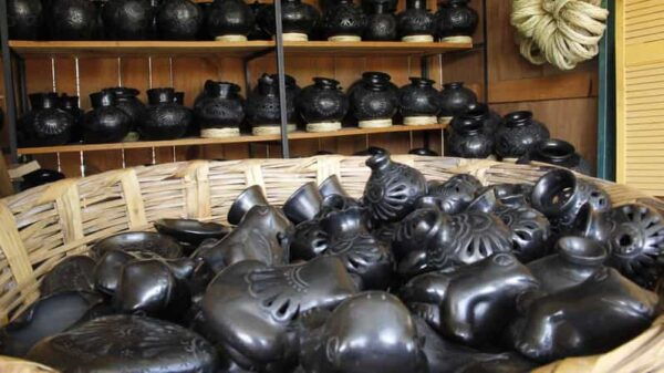 From Oaxaca De Juarez: Arts and Craft Tour - Explore Textiles and Dyeing