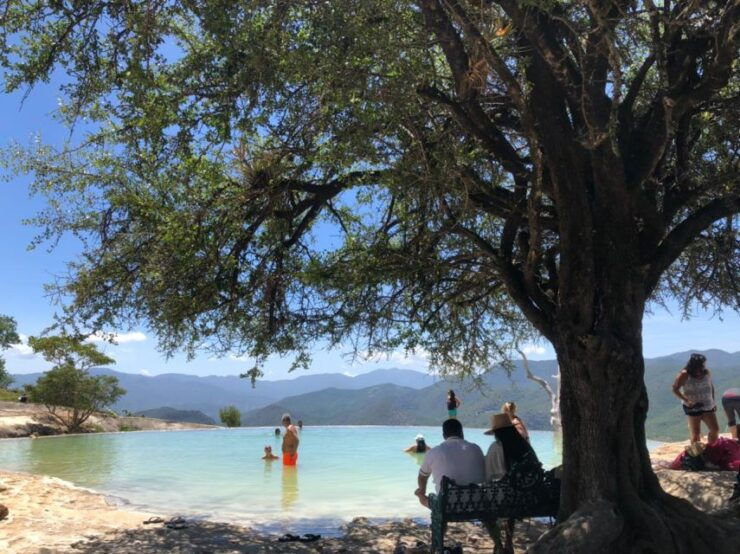 From Oaxaca De Juarez: Hierve El Agua and Mezcal Distillery - Booking Details