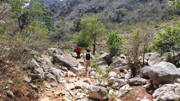 From Oaxaca: Guided Santiago Apoala Day Trip & Lagoon Visit - Meeting Point and Pickup