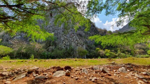 From Oaxaca: Guided Santiago Apoala Day Trip & Lagoon Visit - What to Expect