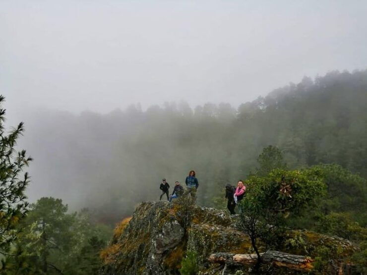 From Oaxaca: Hierve El Agua, Mitla, Tule Tree & Mezcal Tour - Good To Know