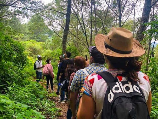 From Oaxaca: Hierve El Agua, Mitla, Tule Tree & Mezcal Tour - Frequently Asked Questions