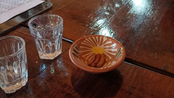 From Oaxaca: Meet a Maestro Mezcalero - Itinerary Details