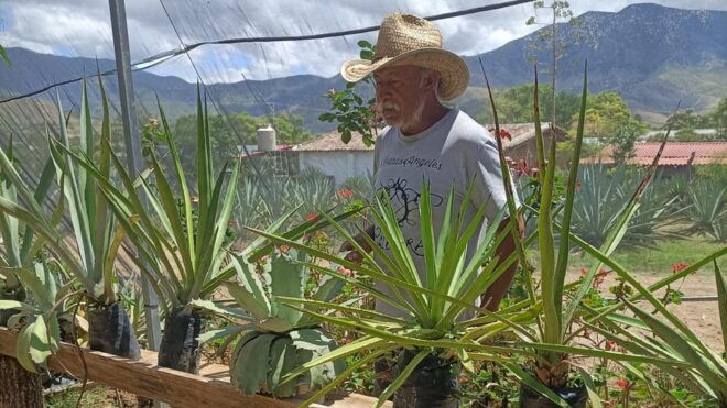 From Oaxaca: Meet a Maestro Mezcalero - Inclusions and Exclusions