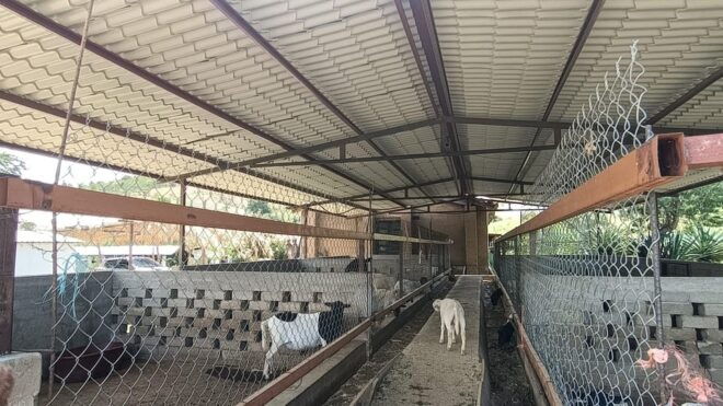 From Oaxaca: Meet a Maestro Mezcalero - Recommendations and Restrictions