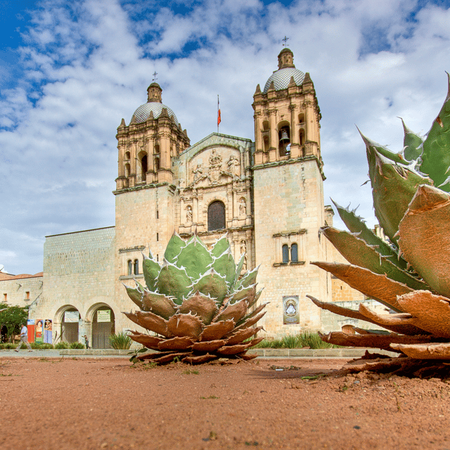 From Oaxaca: Monte Alban Experience and Private City Tour - Cancellation and Booking Policies
