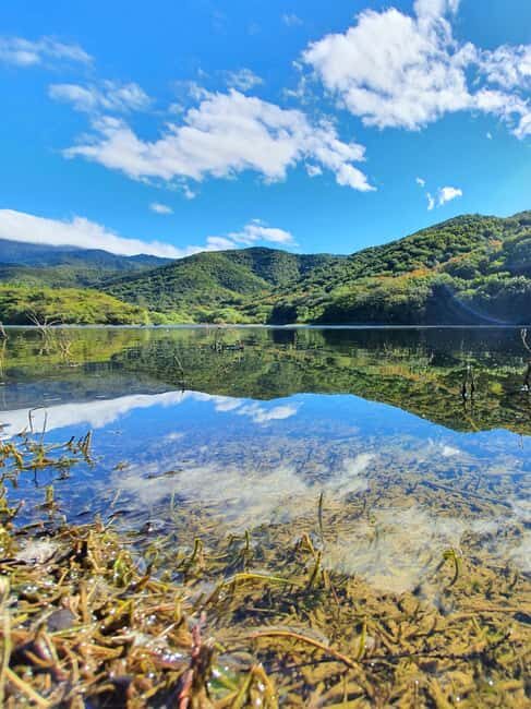 From Oaxaca: MTB Guided Bike Tour, Tule Tree & Lake Half-Day - Why This Tour Works Well for You