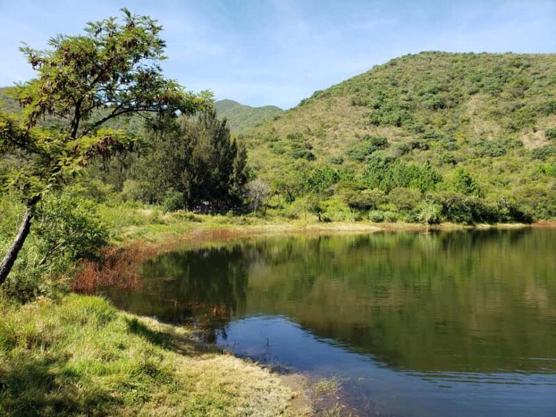 From Oaxaca: MTB Guided Bike Tour, Tule Tree & Lake Half-Day - Frequently Asked Questions