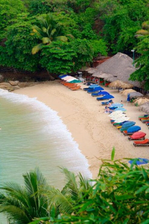 From Oaxaca: One Day in Puerto Escondido - Good To Know