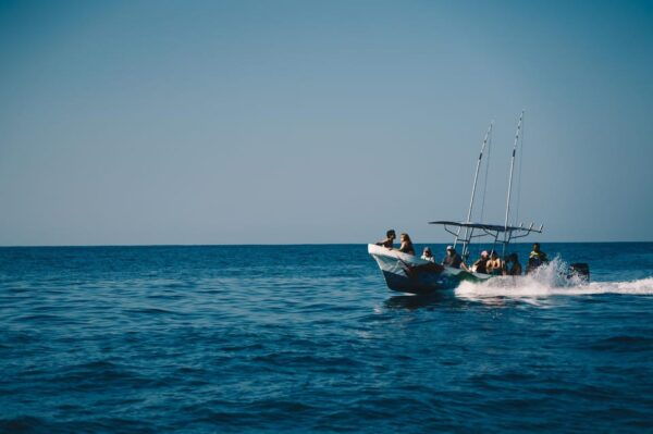 From Oaxaca: One Day in Puerto Escondido - Boat Tour of Beaches