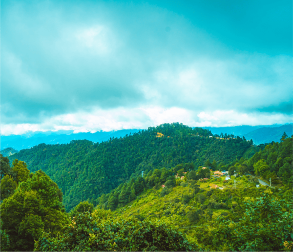 From Oaxaca One Way Shared Transfer to San Jose Del Pacifico - Frequently Asked Questions