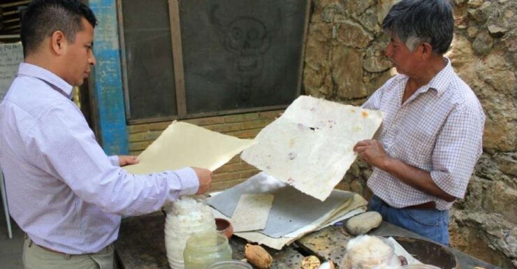 From Oaxaca: San Agustín Etla Quesillo and Papermaking Tour - Tour Details