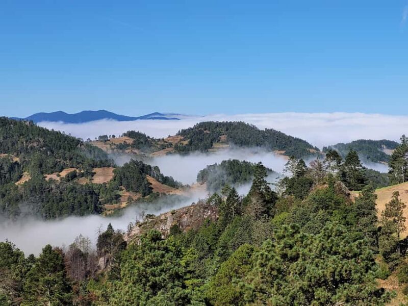 From Oaxaca: Sierra Norte Hike & Indigenous Village Full-Day - Good To Know  