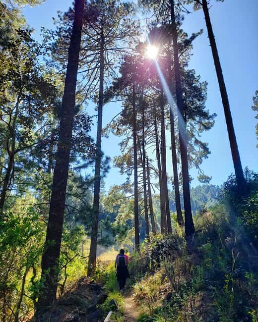 From Oaxaca: Sierra Norte Hike & Indigenous Village Full-Day - FAQ