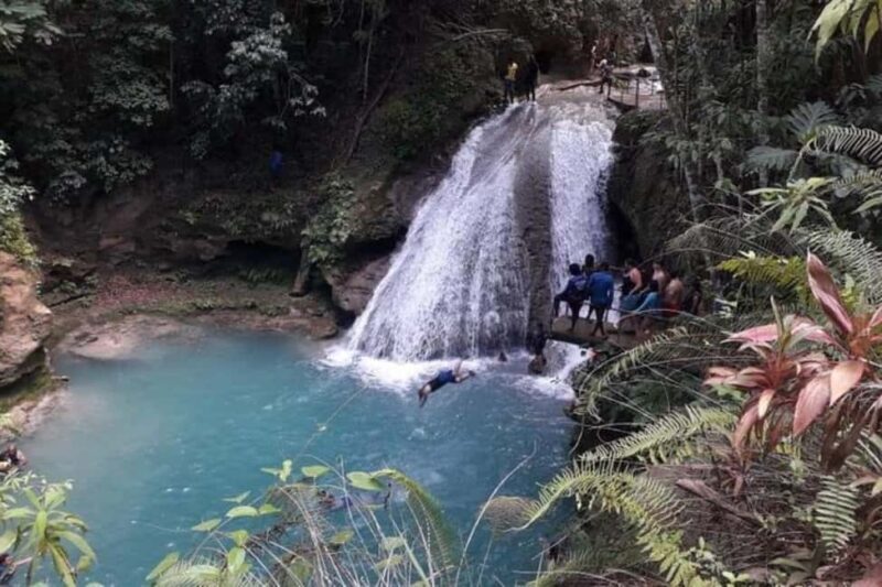 From Ocho Rios: Blue Hole & Dunn's River Falls Tour - From Ocho Rios: Blue Hole & Dunns River Falls Tour — A Complete Guide