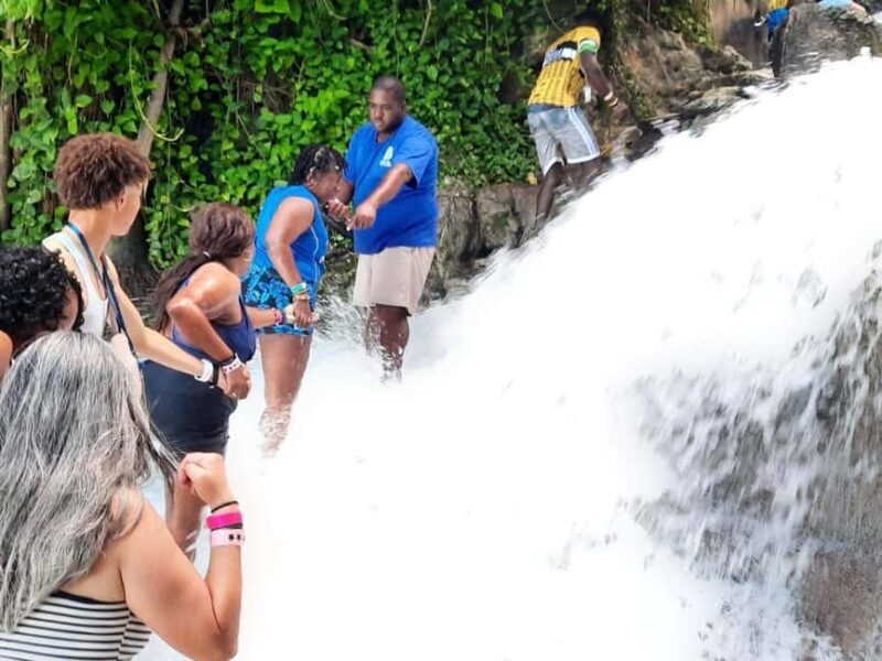 From Ocho Rios / Runaway Bay: Day Trip to Dunn's River Falls - Who Should Consider This Tour