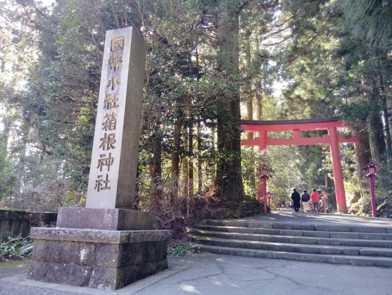 From Odawara: Hakone Scenic Adventure & Boat Cruise - Analyzing the Value  