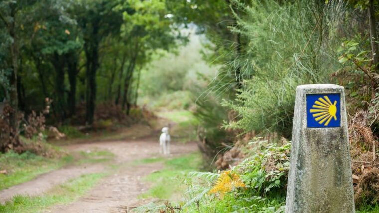 From Oia: 9-Day Guided Camino Walking Tour to Santiago - Accommodations and Meals