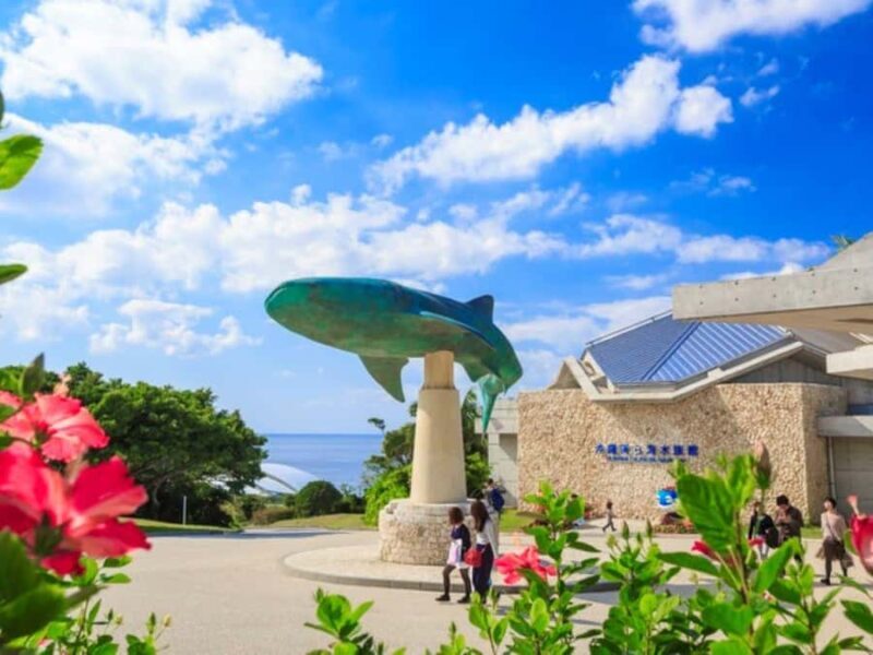 From Okinawa: Churaumi Aquarium & Cape Manzamo 1-Day Tour - A Deep Dive into the Tour Experience