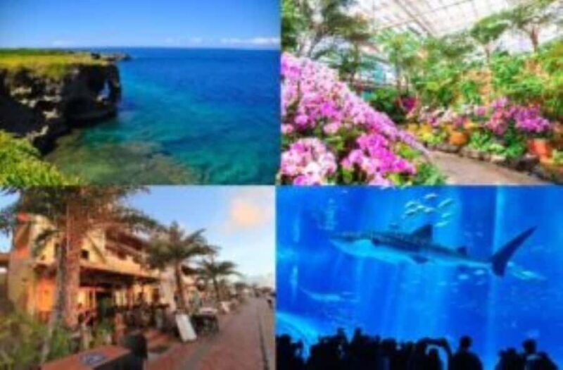 From Okinawa: Churaumi Aquarium & Cape Manzamo 1-Day Tour - Good To Know