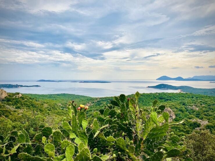 From Olbia: Costa Smeralda Minivan Tour - Inclusions and Highlights