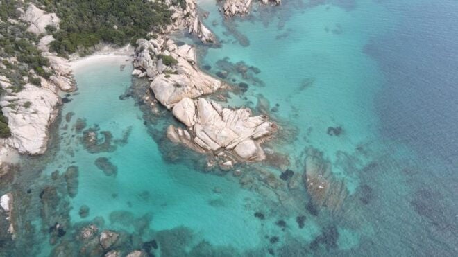 From Olbia: Island Tour and Afternoon in Tavolara - Recommendations