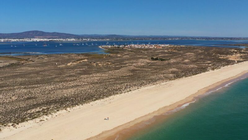 From Olhão: Ria Formosa 3-Island Full-Day Tour - Final Thoughts