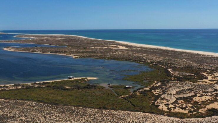 From Olhão: Ria Formosa 3-Island Full-Day Tour - Activity Details